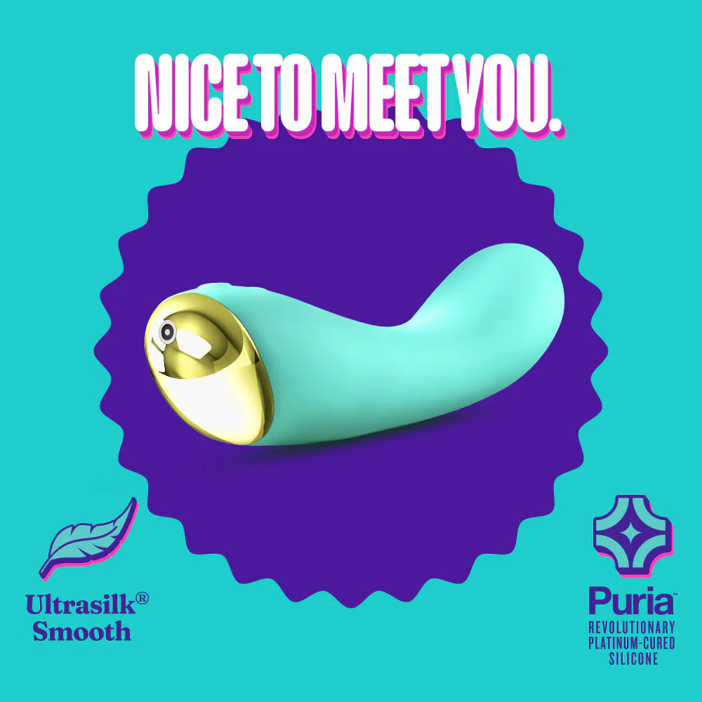 Nice to Meet You Vibrator!